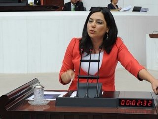 CHP'li vekil: Rakı üretmek sanayileşme hamlesidir