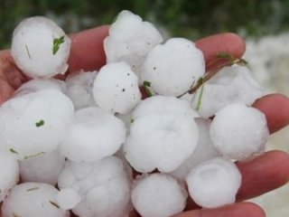 Ekmek kapısı oldu! Para basıyorlar