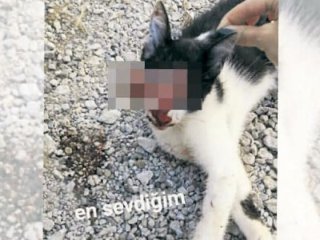 Türkiye'nin konuştuğu vahşette yeni gelişme!