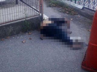 Taburcu edildiği hastane bahçesinde ölü bulundu