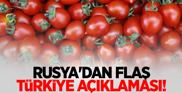 Rusya'dan flaş Türkiye açıklaması!