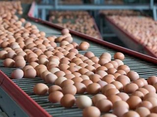 Türkiye’ye zehirli yumurta iftirası!