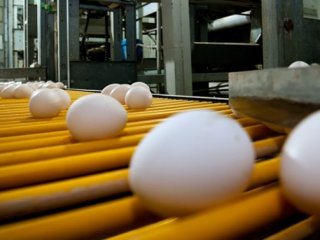 Yumurtada neler oluyor? İlgili STK'dan çok çarpıcı açıklamalar geldi