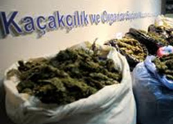 Polis aracına çarpan kamyonetten 325 kilo esrar çıktı