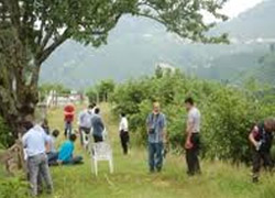 Ordu'da vahşet