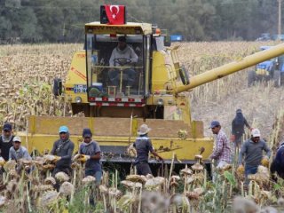 Yapamazsın dediler! Şimdi yılda 2 milyon kazanıyor