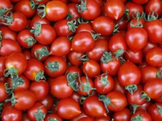 Rusya ile anlaşmaya varıldı! Tek şartları var