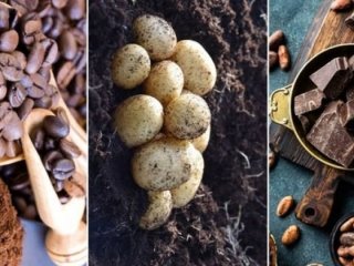 Durum çok vahim! 2055’e kadar yok olabilirler