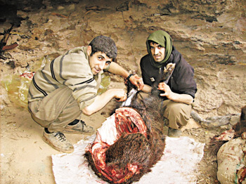 BDP'li vekilden "domuz" iddiası