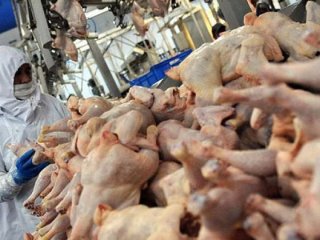 Fiyatı bir anda çakıldı! 20 TL'den 11 TL'ye düştü