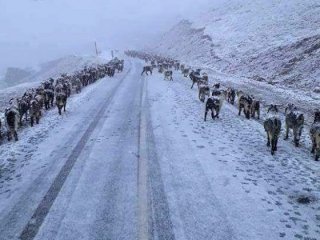 Meteoroloji uyardı! Kar yağışı bekleniyor