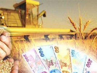 Çiftçilere destek ödemesi başlıyor