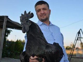 Hobi olarak 'servet' yetiştiriyor
