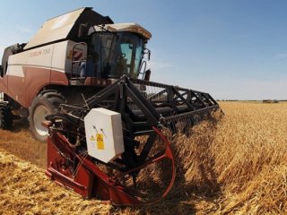 Fakıbaba: Dünyanın tahıl ambarı Türkiye olacak