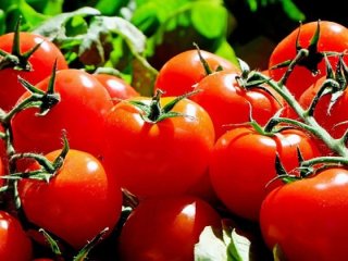 Rusya'dan flaş Türkiye açıklaması! Anlaştık