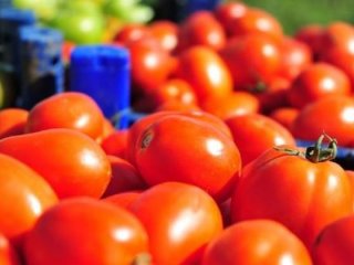10 günde 3 kat zamlandı