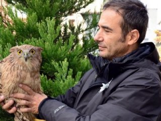 Burdur'da ilk kez balık baykuşu görüldü