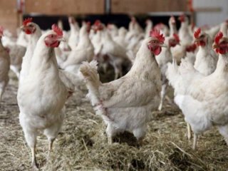Terörün beli kırıldı, Güneydoğu dünyaya açıldı