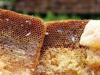 10 milyon euro bütçe ile kuruluyor