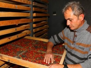 İlk önce Hobi olarak başladı! Şimdi ise yetişemiyor