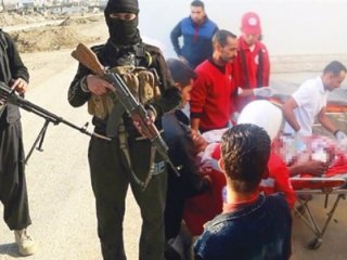 DEAŞ'ı Sina'ya taşıdılar
