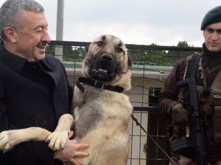 Emniyette 'Kangal' ve 'Akbaş' dönemi