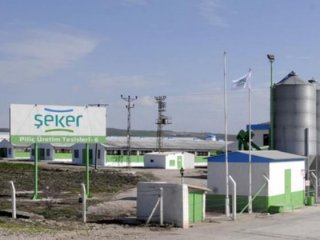 Beyaz et devi ikinci kez satışa çıktı