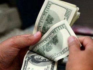 Hükümetten kritik dolar açıklaması