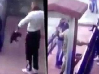 Yavru kediye işkence eden cani hakkında karar