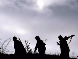 PKK'nın sözde 2 sorumlusu öldürüldü