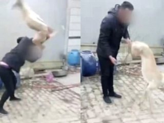 Köpeğini yere vura vura öldürdü