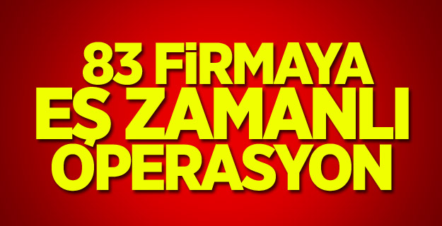 83 firmaya eş zamanlı operasyon