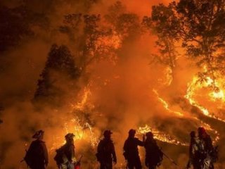 California'nın güneyi alevlere teslim oldu