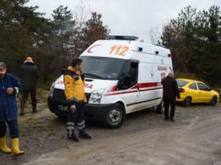 Domuz sandığı arkadaşını vurdu!