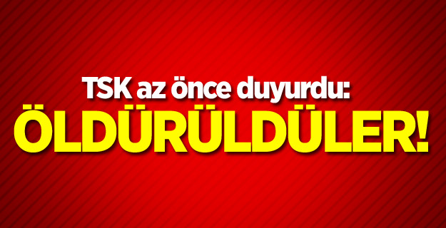 TSK az önce duyurdu: Öldürüldüler!