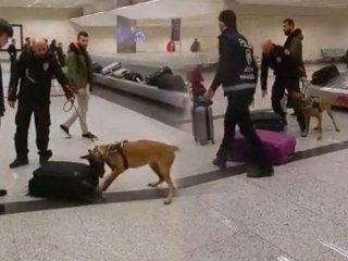 Türkiye'den Hollanda'ya bir misilleme daha!
