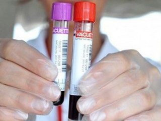 Tartışma başladı: Nikah öncesi zorunlu olsun!