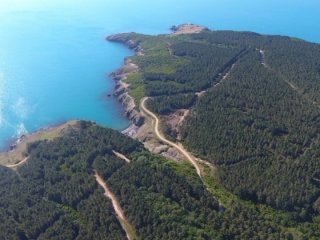 Nükleer santral kurulacak alan görüntülendi