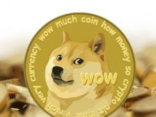 Dogecoin'deki çılgın yükseliş sürüyor