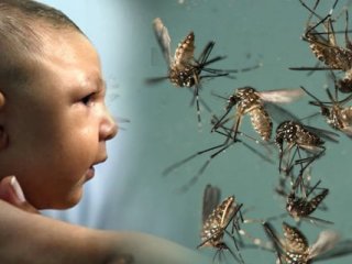 Zika virüsü Türkiye'de!