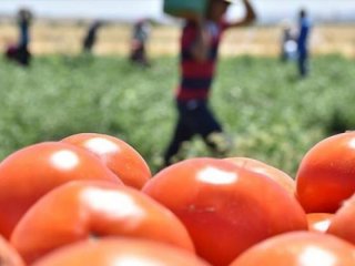 Rusya'dan açıklama! İzin verebiliriz