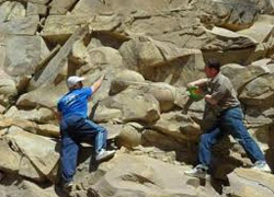 Çeçenistan'da dinozor yumurtası fosilleri bulundu