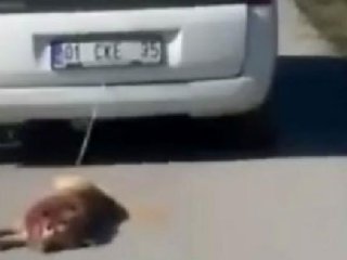 Şok görüntü! Köpeği arabaya bağlayıp sürükledi