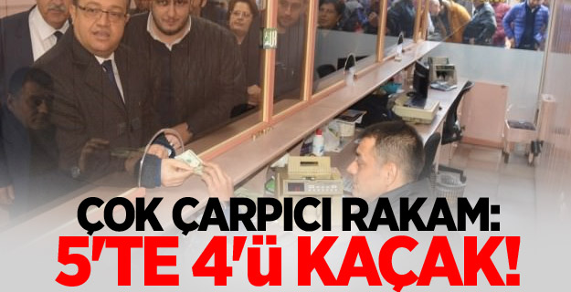 Çok çarpıcı rakam: 5'te 4'ü kaçak!
