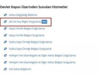 Yoğunluk sistem kitlenmişti! Soy ağacı sorgulama hizmeti kapatıldı mı?