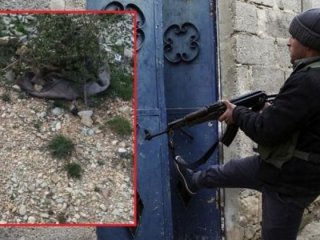 PKK'lı hainler bunu da yaptı! Arkadaşlarının cesetlerine bile...