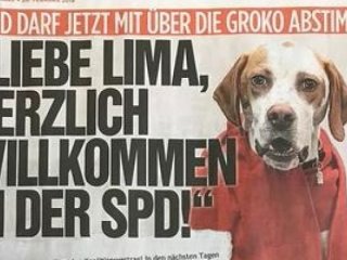 Köpek Lima’yı SPD’ye üye yaptılar!