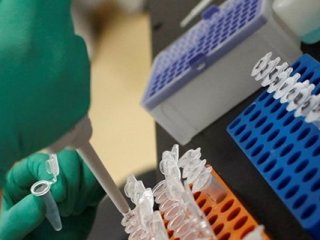 Babalık testi yaptıranların sayısı 3 kat arttı