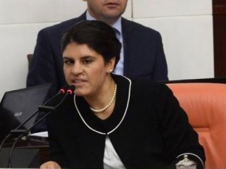 HDP'li Dilek Öcalan'a hapis cezası!