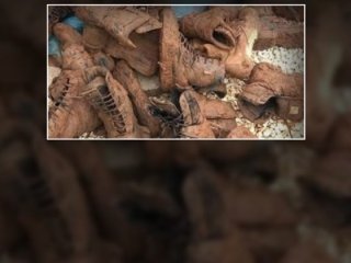 Afrin'den unutulmayacak fotoğraf